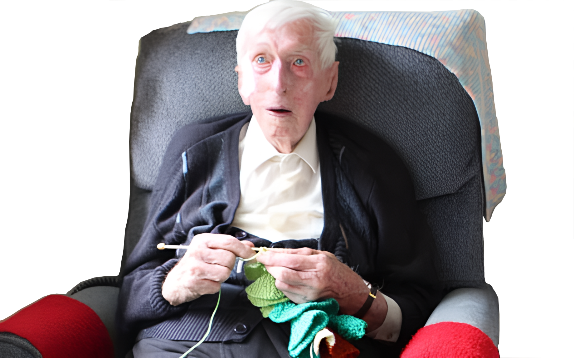 Alfred Date knitting sweaters for penguins