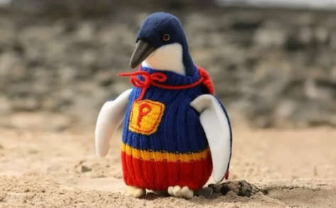 Penguin in superhero sweater with P emblem