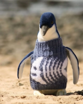 Penguin in dark blue sweater with fish skeleton pattern