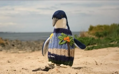 Penguin on beach in striped sweater with flower